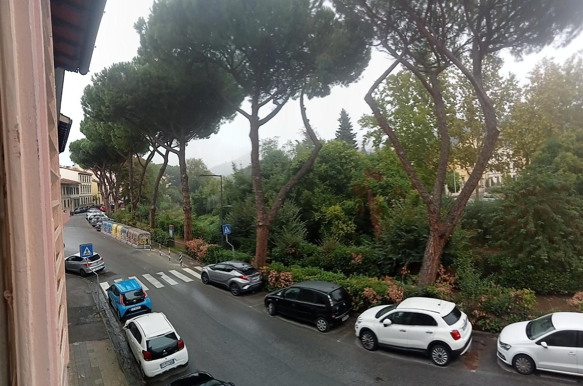 Margherita Florencia